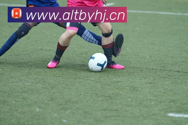 kaiyun官方网站入口平台生态图